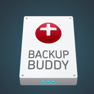 backupbuddy-580x580